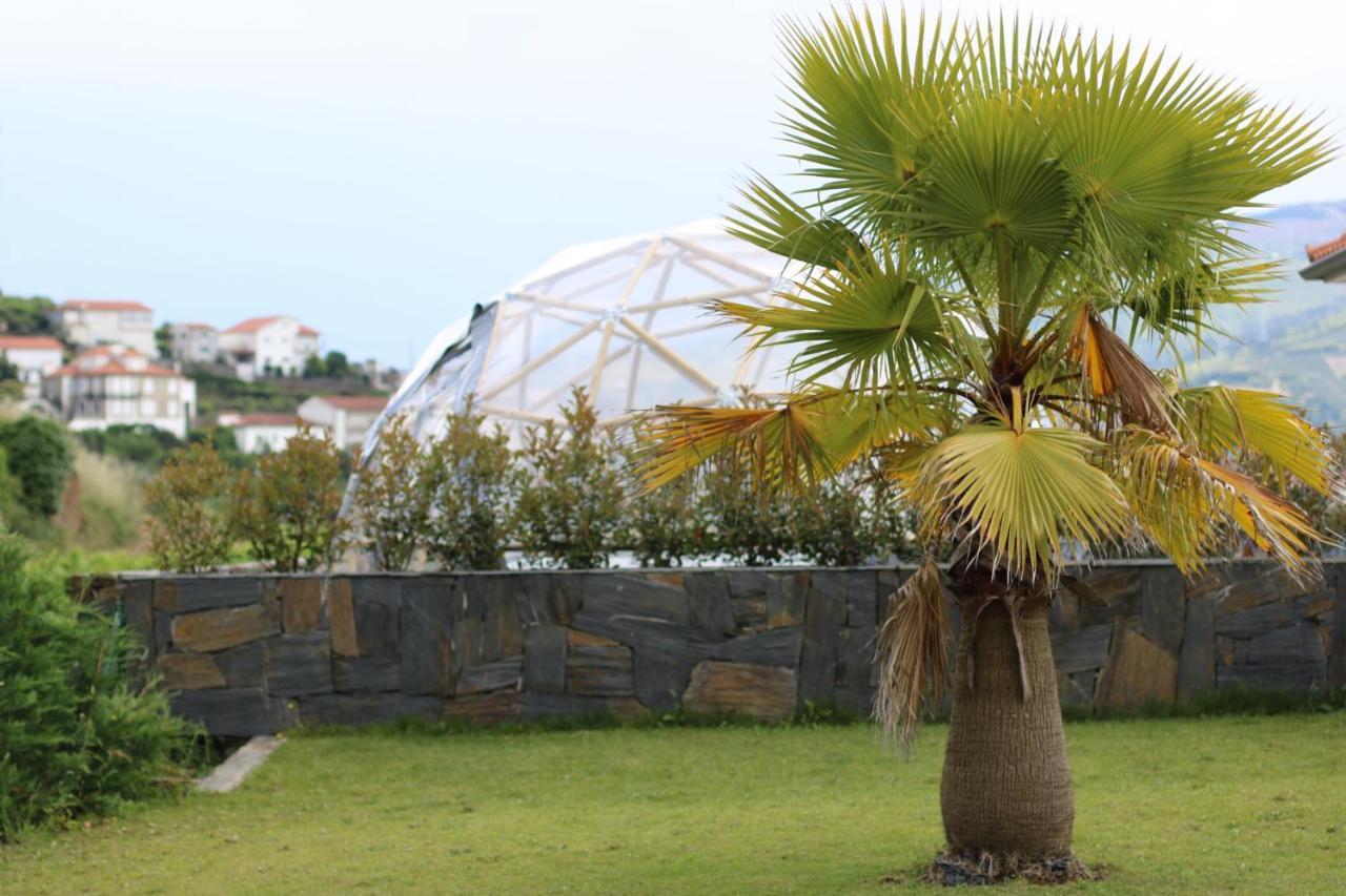 Quinta Fontainhas Mesao Frio