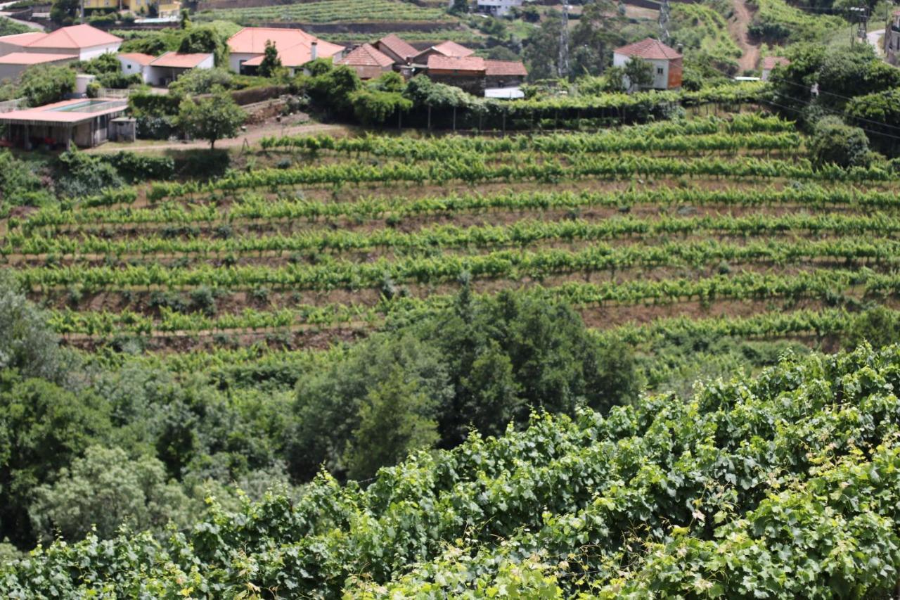 Quinta Fontainhas Holiday home